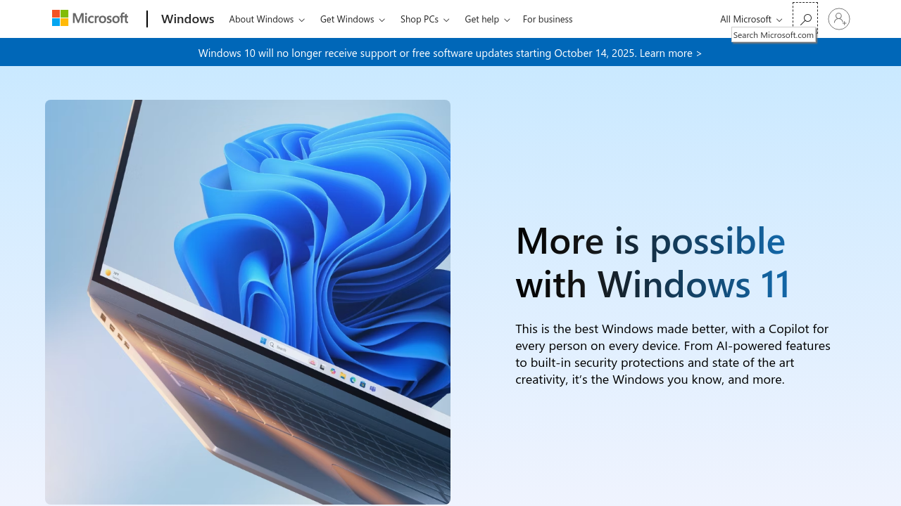 Windows 11